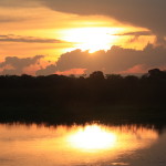 Featured posts:  Wild Pantanal and FIFA Worldcup@Conundrum